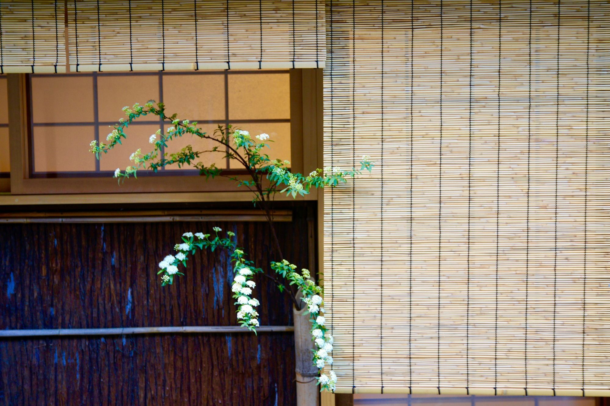 Ryokan Mitsuki Kyōto